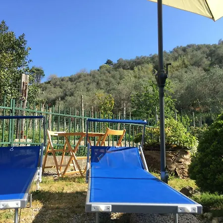 Eden Λεβάντο